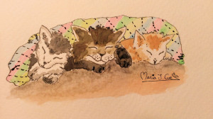 Cats Sleeping MariaJCuesta. Children’s Books. Art. Illustration.